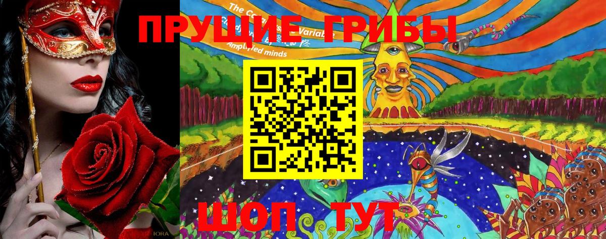Псилоцибиновые грибы ЛСД Нижний Новгород