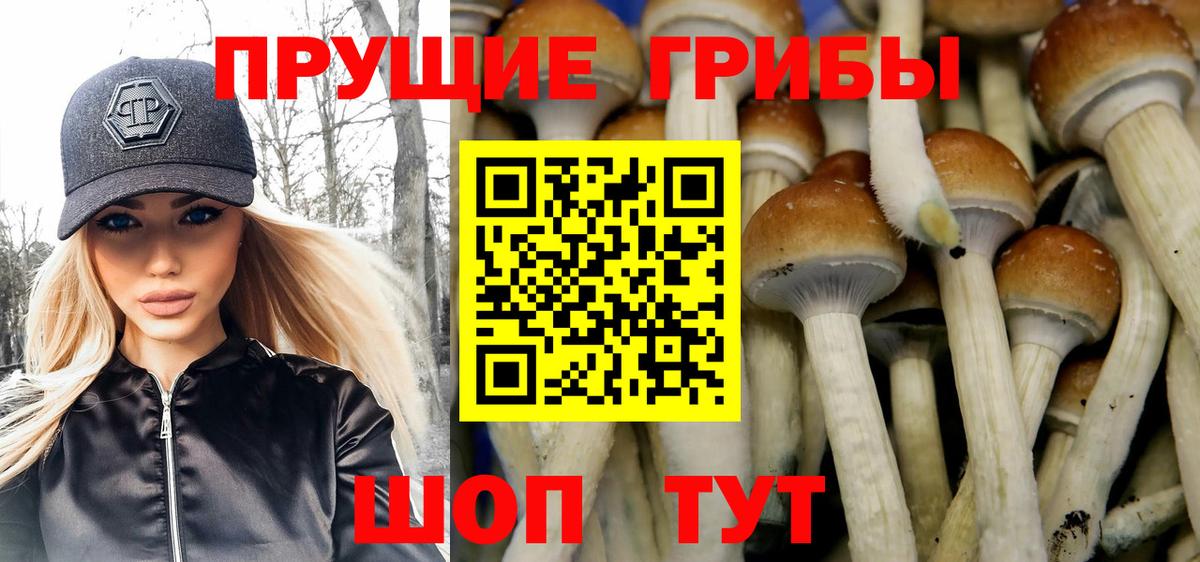Нижний Новгород  Псилоцибиновые грибы ЛСД  Вход с VPN 